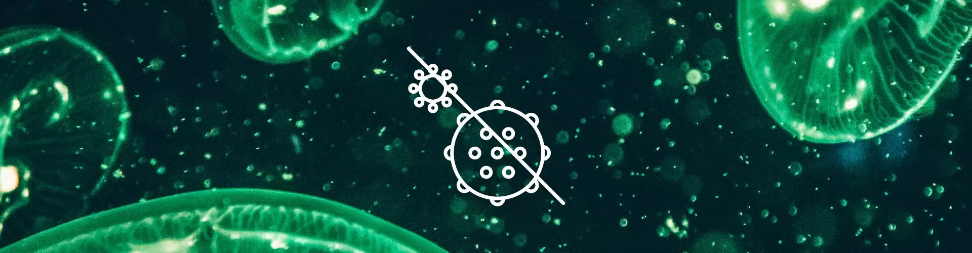 filato antibatterico