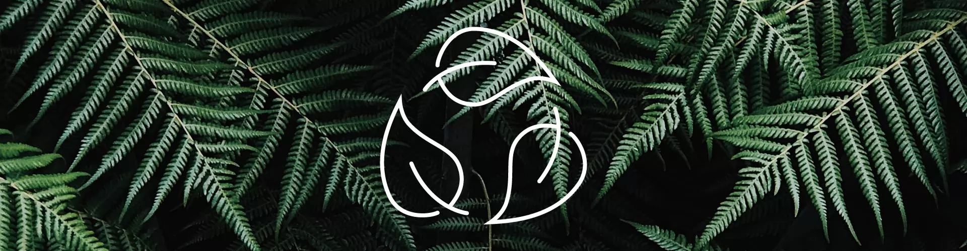 filato biodegradabile