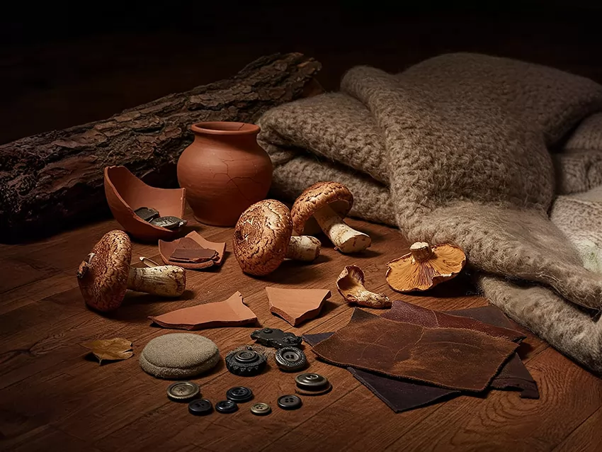 Denim PV Colors FW 26/27