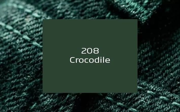 Crocodile Collect Your Colors