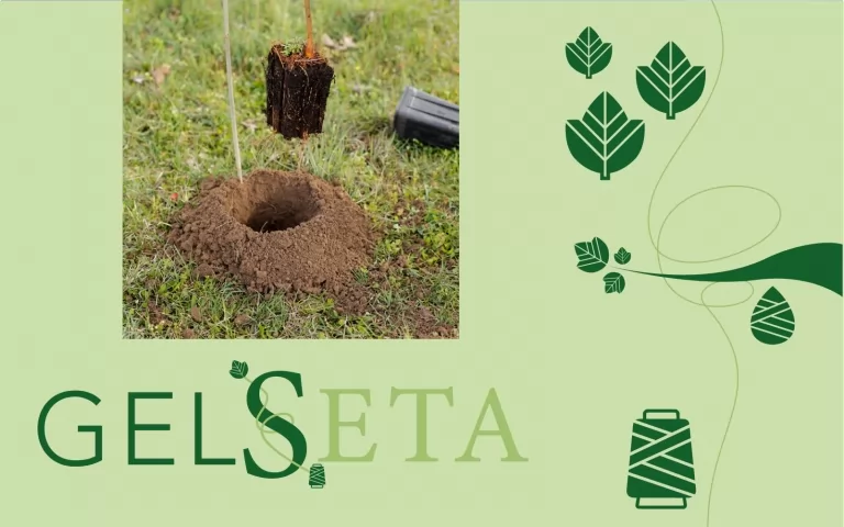 Gelseta