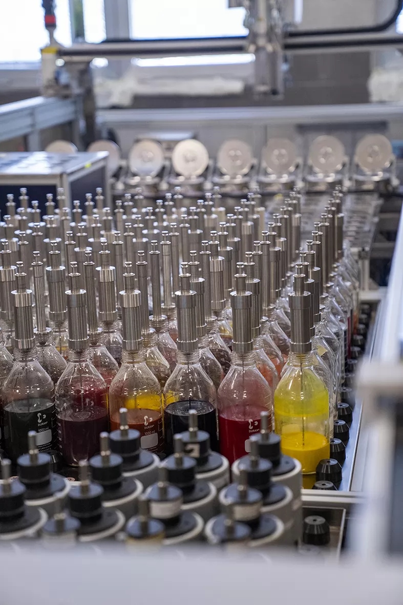 Visit of H-FARM and FIT