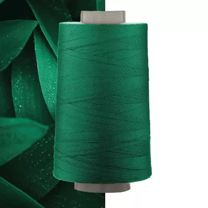 Nylon biod&eacute;gradable