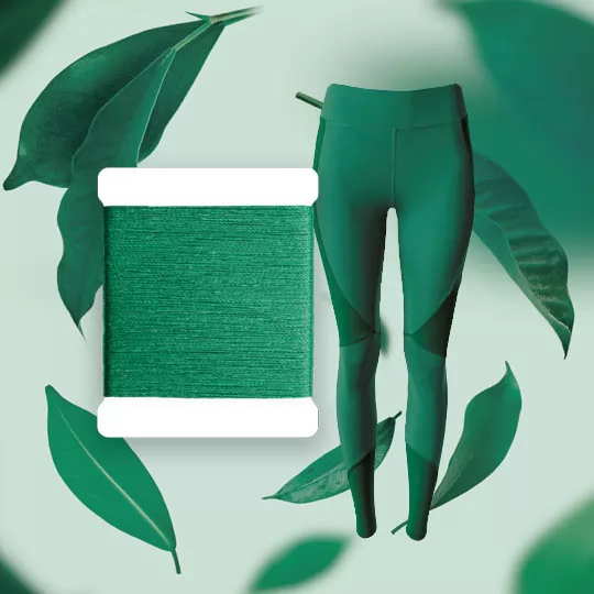 nylon biod&eacute;gradable