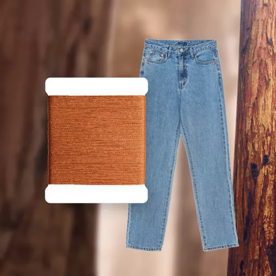 tencel biod&eacute;gradable