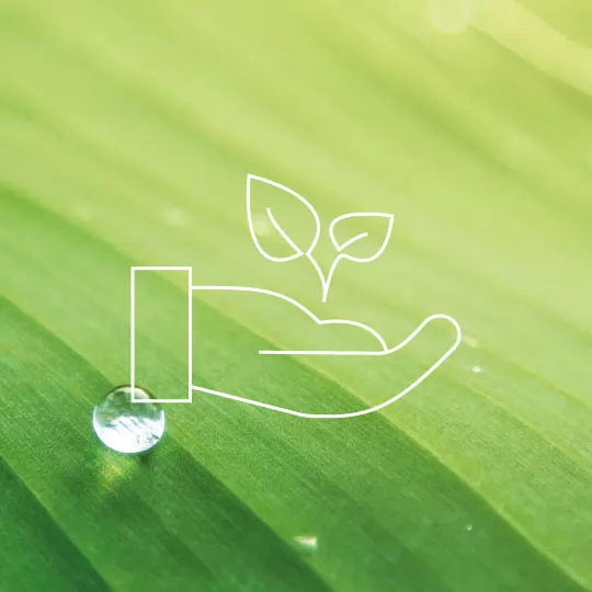 sostenibilit&agrave; ambientale