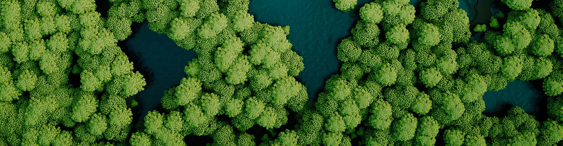 MIC Impegno sostenibile